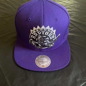 Toronto Raptors fitted SnapBack
